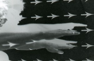 Detail - Performance projection (1973).